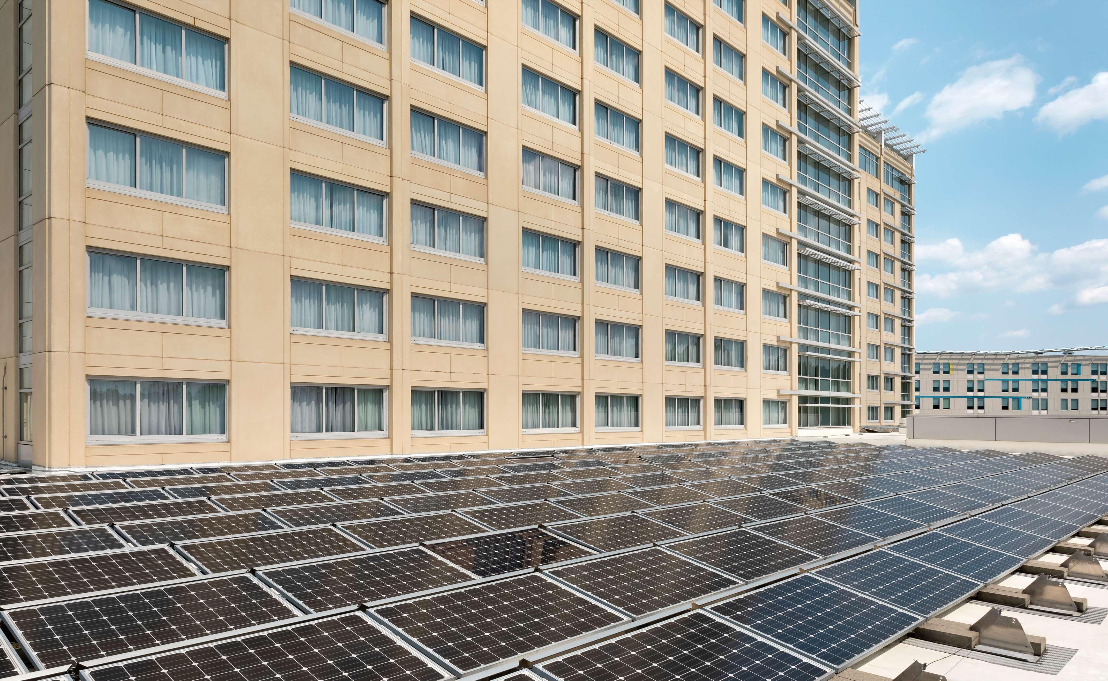 Hilton Baltimore BWI Airport Linthicum Exterior foto
